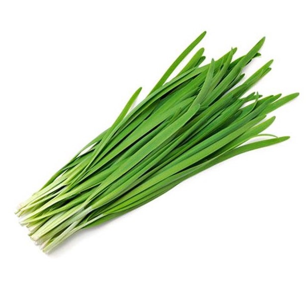 TH 新鲜 韭菜 100g/把 |TH Gui Chai / Chive Leaf 100g /pkt