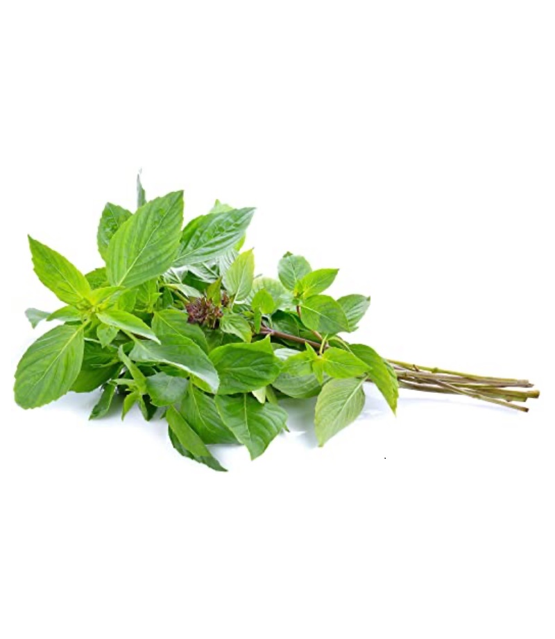 泰国 甜罗勒 100g | TH Horapa Leaf / Sweet Basil 100g /pkt