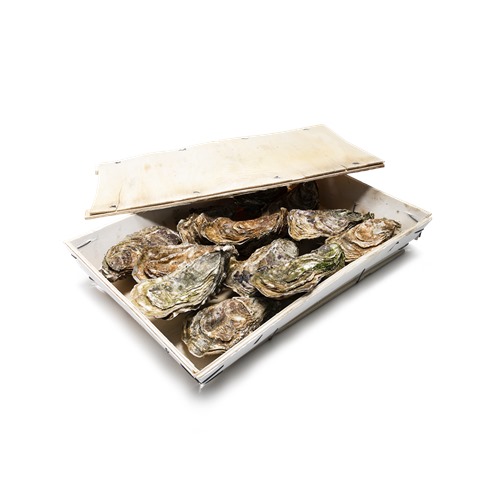 新鲜生蚝 12只 | Fresh Oysters 12 pieces