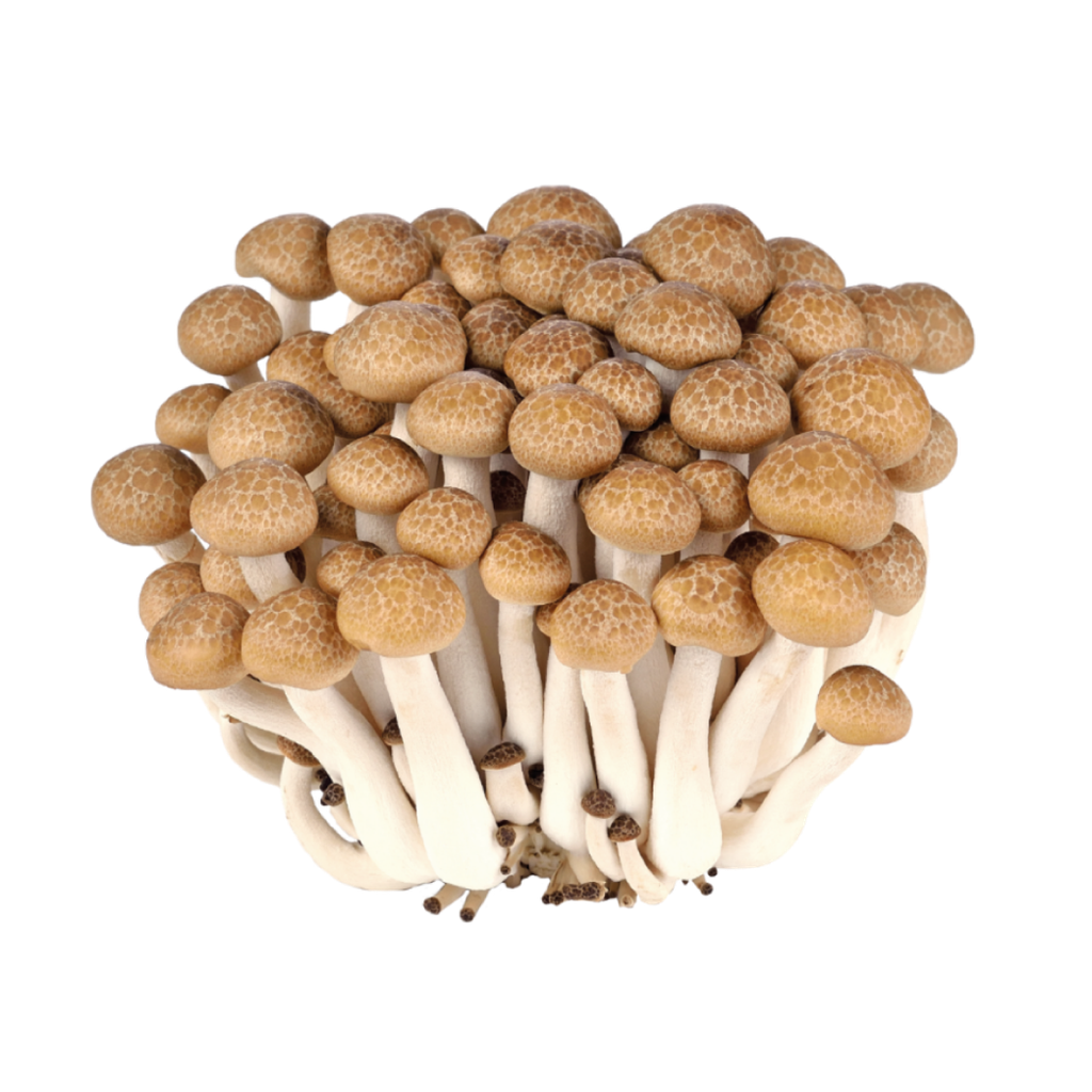 蟹味菇 150g