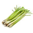新鲜 香茅 (整条) 1kg | Lemon grass (whole) 1kg
