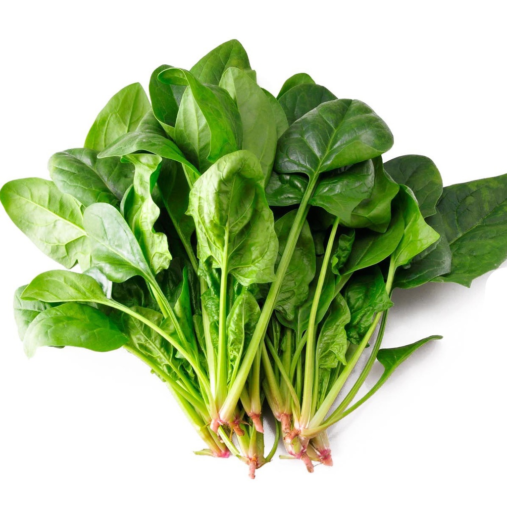 Poi Choi 1kg | 新鲜 菠菜 1kg