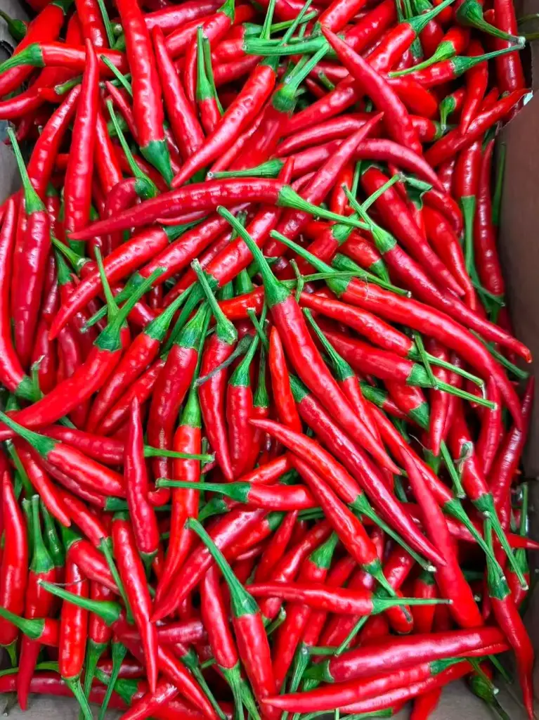 红色小米辣 (称重) | Red Rawit Chili / kg