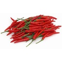 TH Red Chilli 100g | 泰国 红辣椒 100g