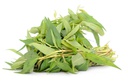 TH Pak Khaeyang/ Vietnamese coriander 100g/pkt | TH 香荚兰 100g