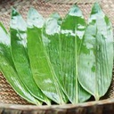 Fresh Bamboo Leaf Vacuum 150g | 新鲜 粽叶 真空 150g