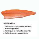 TUO Salmon C skinless without pinbone 1kg | TUO 新鲜 三文鱼(C无皮无刺) 1kg