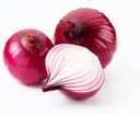 Fresh Red Onion kg | 新鲜 红洋葱 kg
