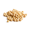 [30242] 大包黄豆 30kg | Soyabean 30kg