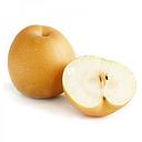[10171] Korean Pear 1kg | 新高梨 1kg