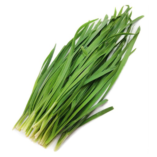 [10144] Garlic chives /kg | 新鲜 韭菜 (称重) 