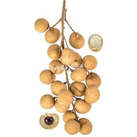 [10090] 新鲜龙眼 500g/unit | Fresh Longan 500g/unit