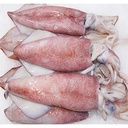 Star Pride Whole Squid 3/6 AAA net 1.8kg | Star Pride 整条鱿鱼 3/6 AAA 净重1.8kg
