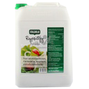 [30853] Apetit Rypsioil 10L | Apetit 菜籽油 (绿盖) 10L