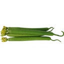 Fresh Si Kwa 1kg | 新鲜 丝瓜 1kg